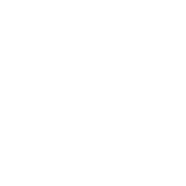 Zarvio Digital